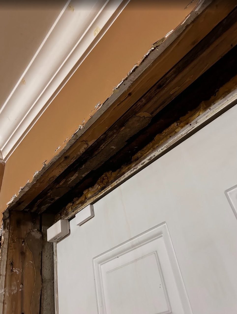 Back Door Replacement 2